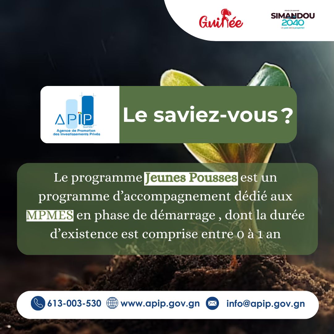 APIP Guinée tweet media