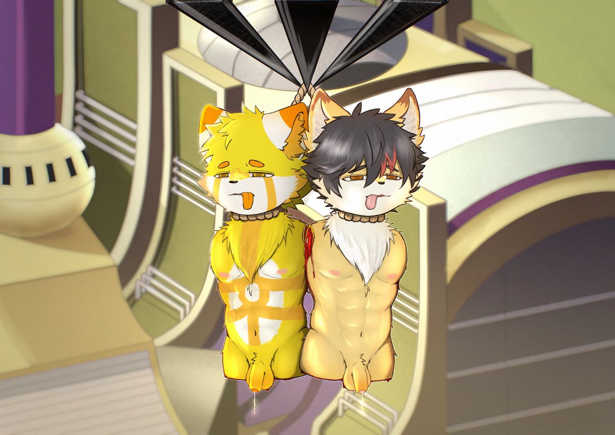 陽橙君🔞 tweet media