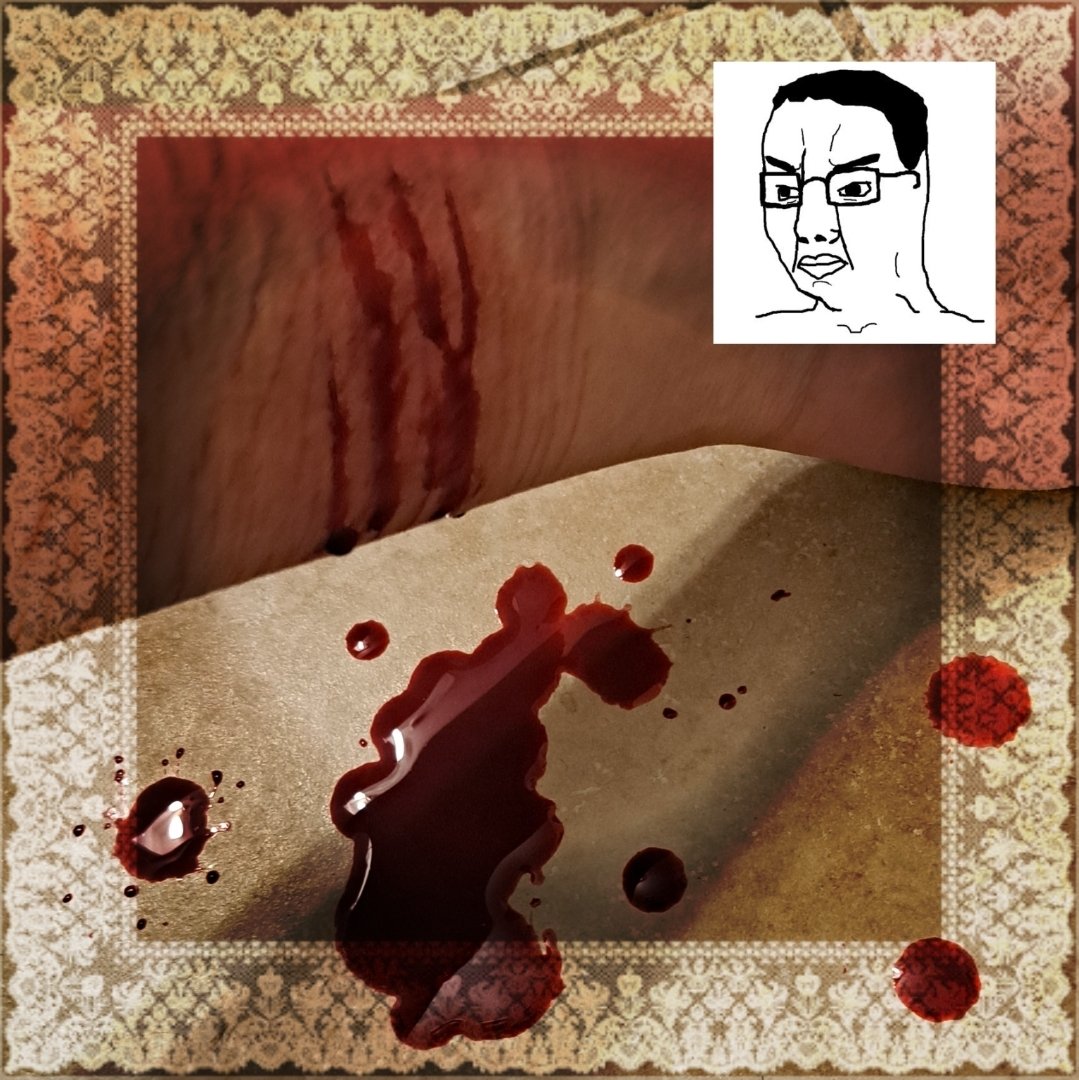 noah// sh(ed)twt tweet media