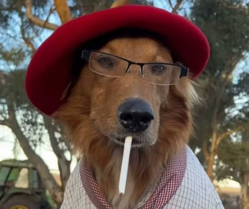 <a href="/Cointelegraph/">Cointelegraph</a> Ayoo.. woof woof $PREGUNTALE

57KoEZXm2mJwFqbB7fvcgZmmjc9mivFmKhXA45H3pump