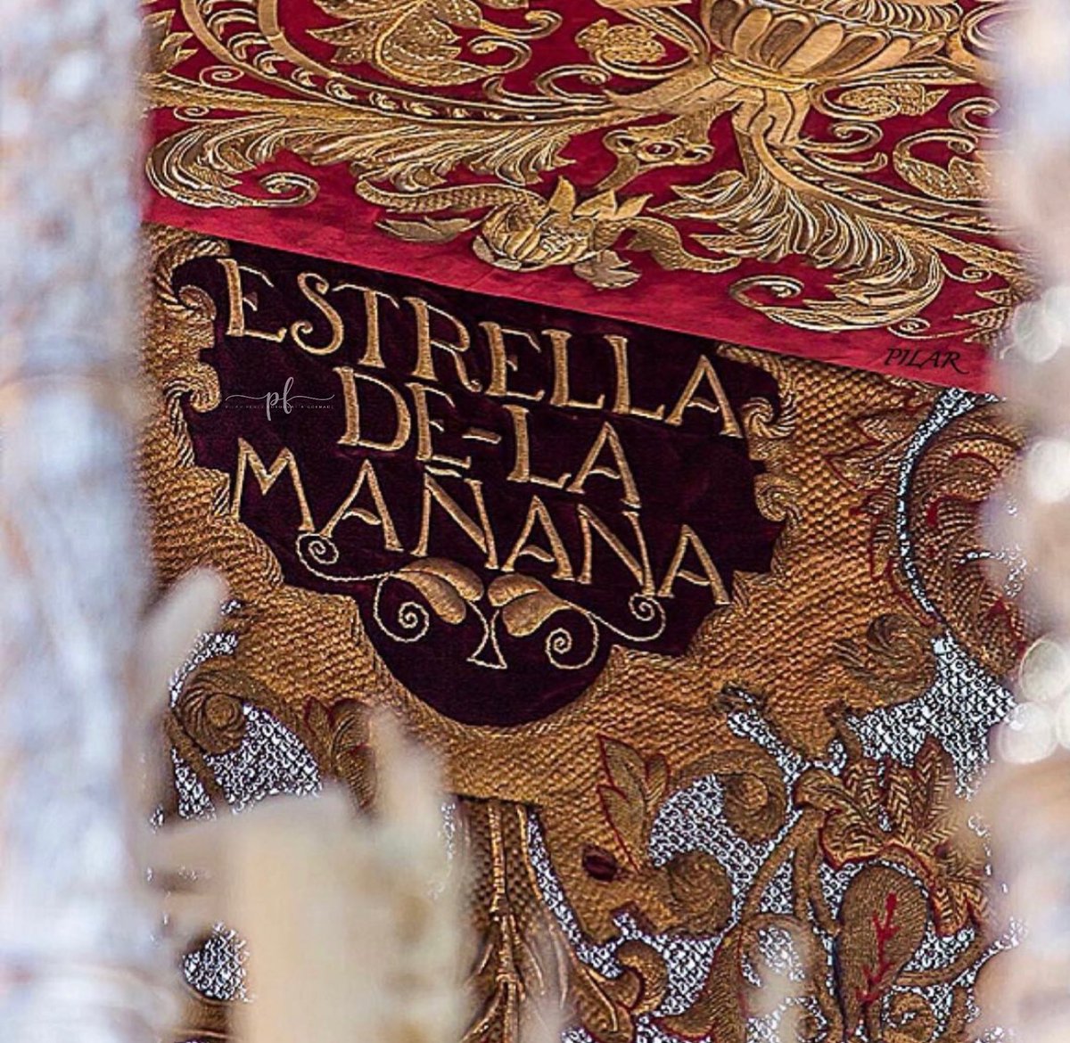 PILAR PÉREZ tweet media