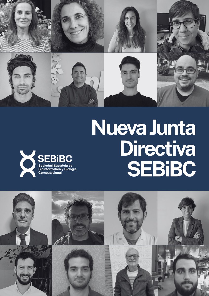 SEBiBC_es's tweet photo. 🔵 Presentamos la nueva Junta Directiva de @SEBiBC_es, acordada en la Asamblea General del 11/12/2025.

Presidencia: @anaconesa 
Vicepresidencia: @icuestap
Secretaría: @sara_mfdez 
Tesorería: @fsanchezcabo 

Conoce a toda la Junta y sus vocalías👇
https://t.co/fRVtufNR1t https://t.co/SbOONVOXvL