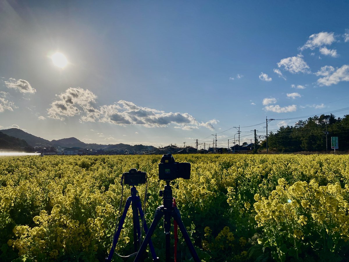 昼過ぎから、夕方まで、場所を変えながら、撮影を楽しみました。もう少し粘ったら、夕日が綺麗そうですが、体力もフィルムも尽きたので、帰ります🚃
#福ふくの里 
#103系
