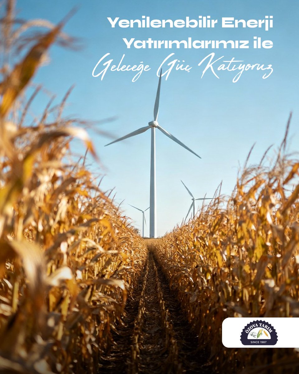 Doğadan aldığımız gücü, yenilenebilir enerji yatırımlarıyla geleceğin değerine dönüştürüyoruz. Kesintisiz enerji, sürdürülebilir yarınlar. ☀️⚡

#yenilenebilirenerji #temizenerji #enerjiyatirimi #surdurulebilirgelecek #yesilenerji #gelecegeguc