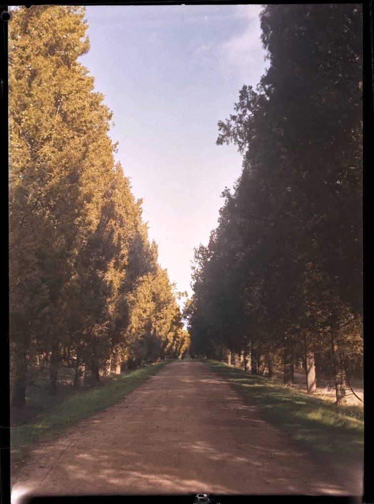 📷Vista de la Alameda de Osuna (Entrada del Jardín de El Capricho) 

🗓️Fecha: 1940 aprox.

🤳Autor: Tomás Prast

ℹ️<a href="/memoriademadrid/">memoriademadrid</a> Negativo. Blanco y negro.
12 x 9 cm. Signatura
MDB_BDMDM_20150719_1361

🎨Coloreada

#MemoriaDeBarajas