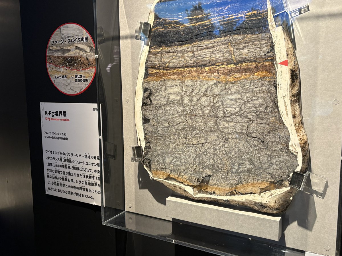 大絶滅展も行ってきた！平日なのにすんごい人。恐竜絶滅の裏付けになる