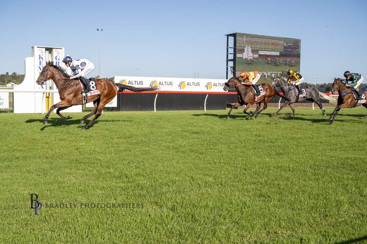 mitchellbeer tweet media