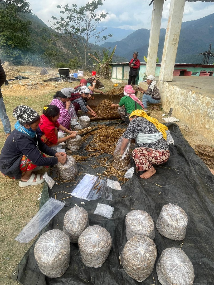 KVK Kurung Kumey organized Mushroom Training at Leel Village, Sangram, Kurung Kumey District (A.P). Farmers and SHGs participated enthusiastically, boosting local production and empowering local farmers! A step towards self-reliance, sustainable income, and rural development.
