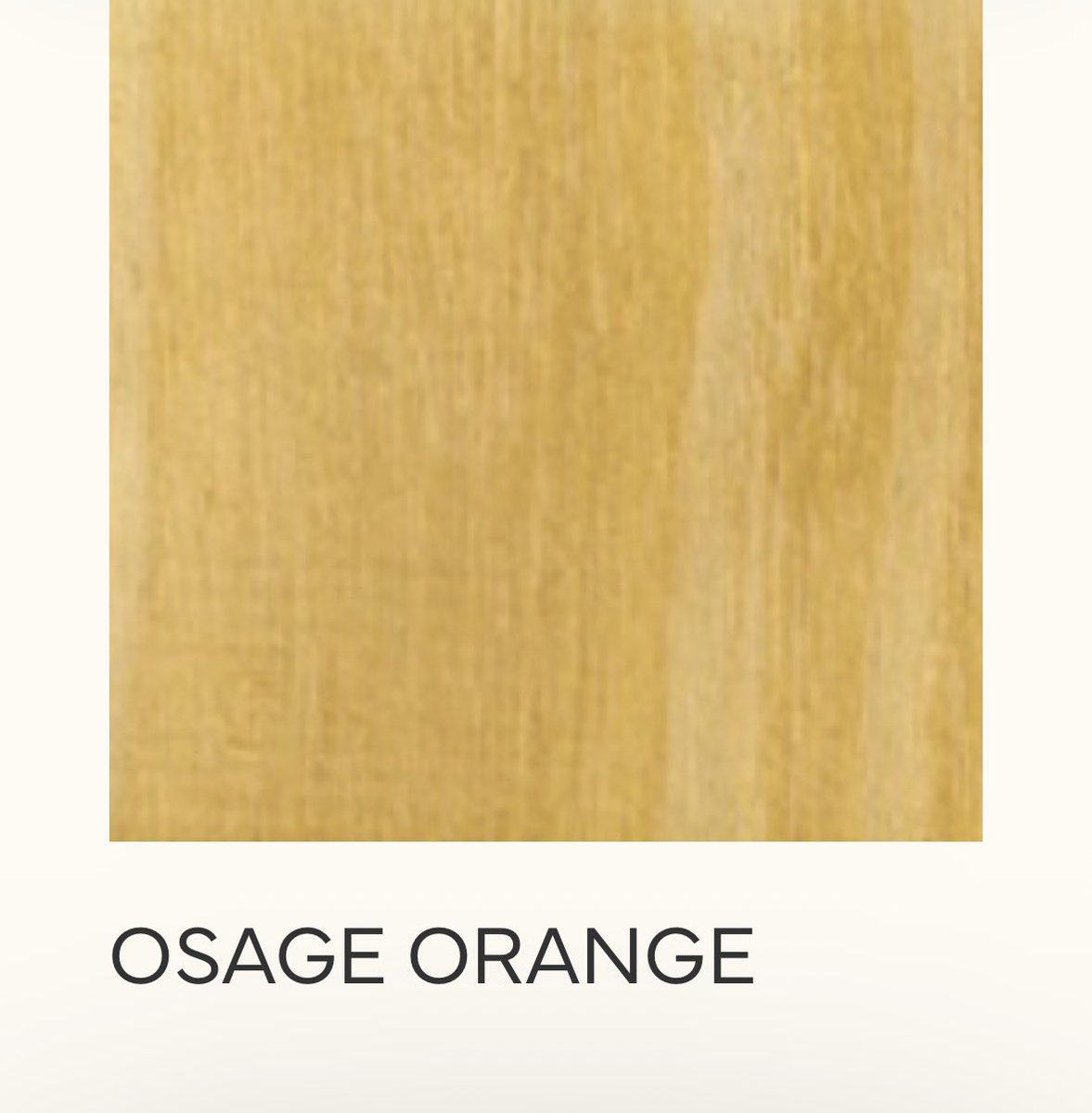 海外の材木屋のホームページ漁ってて見つけたこの木…
オーセージオレンジやのに「おさげオレンジ」って読んでしまった笑