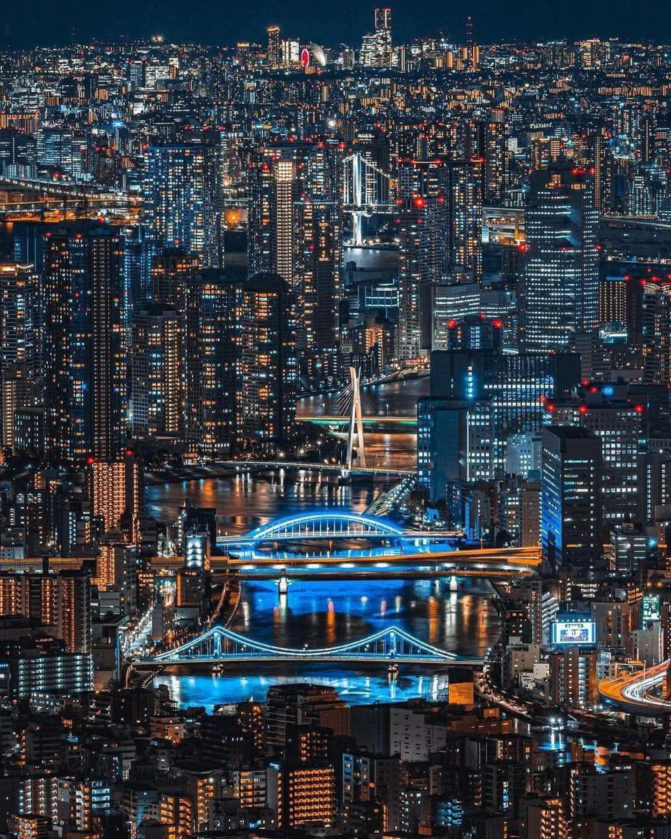 WildscapeWonder's tweet image. Tokyo, Japan 🇯🇵