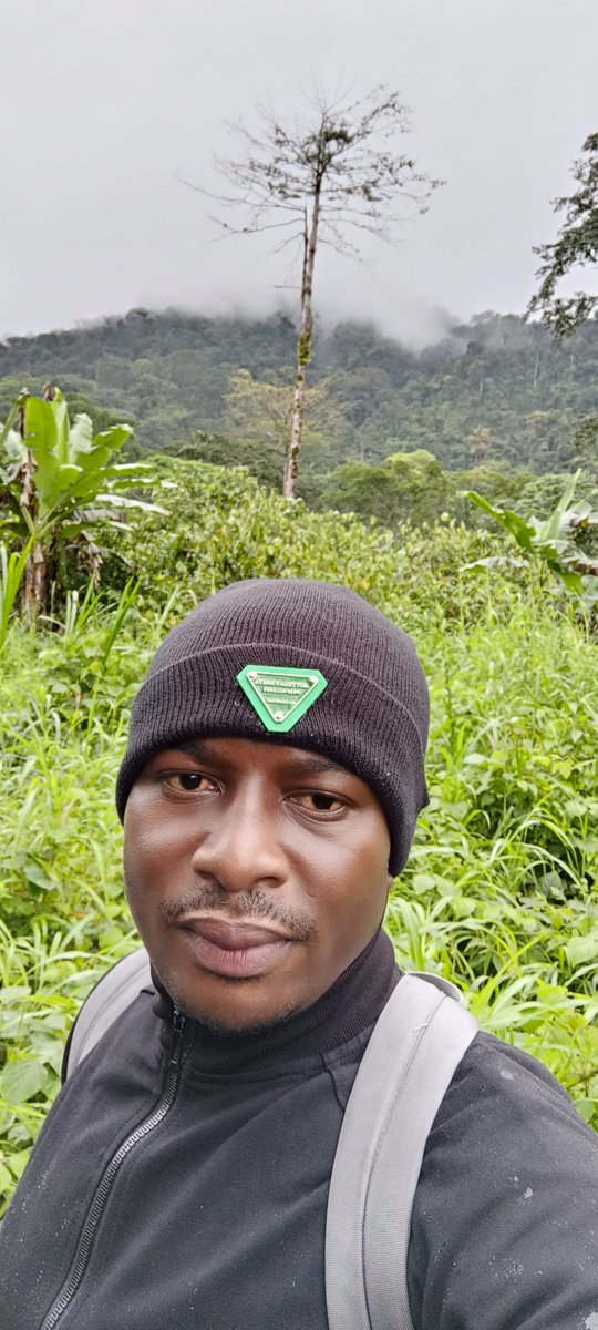 AbiluTangwa's tweet photo. What role do the Congo Basin & Amazon Rainforest play in climate regulation?
A) They primarily serve as tourist attractions.
B) They absorb carbon dioxide & produce oxygen.
C) They are significant sources of fossil fuels.
D) They have no impact on climate regulatx https://t.co/HUWpnNYVqj