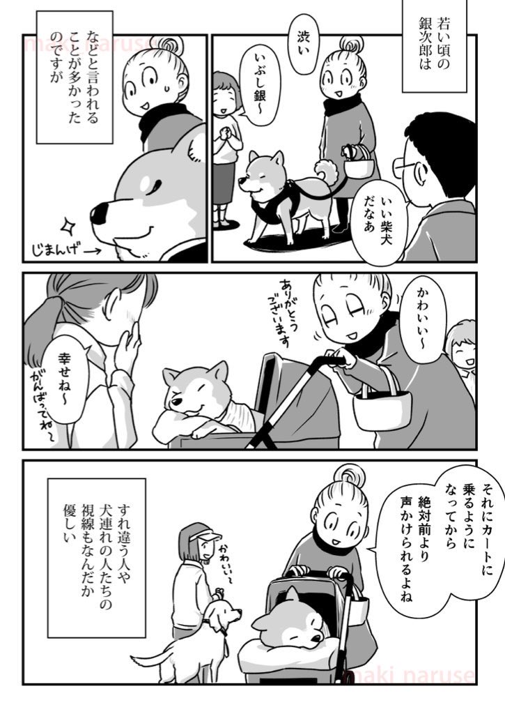 【再掲】「カート散歩」(2/2) 