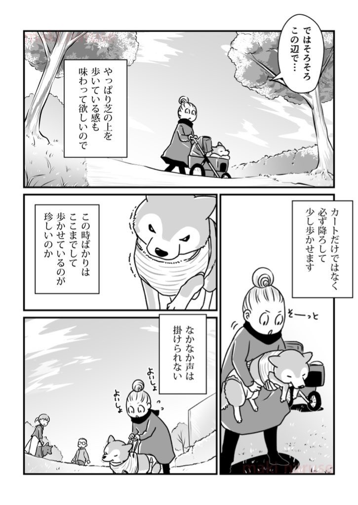 【再掲】「カート散歩」(2/2) 