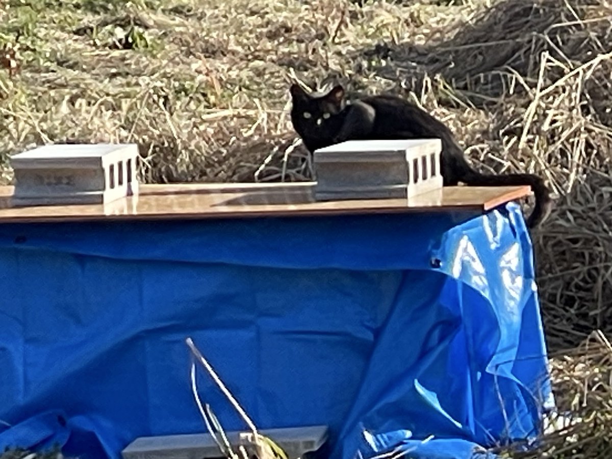 おーちゃん (@Ohchan_sub) / Posts / X