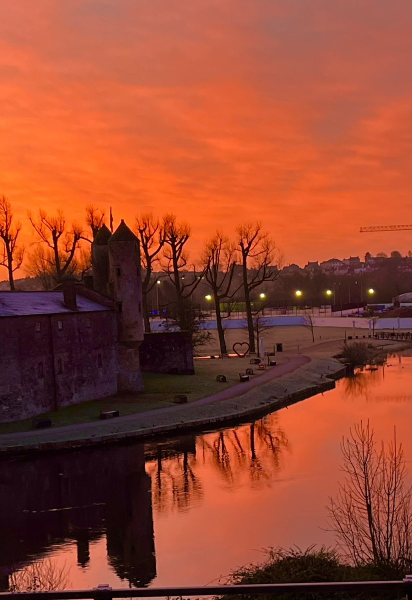 Dr Carla Mc Cabe tweet media