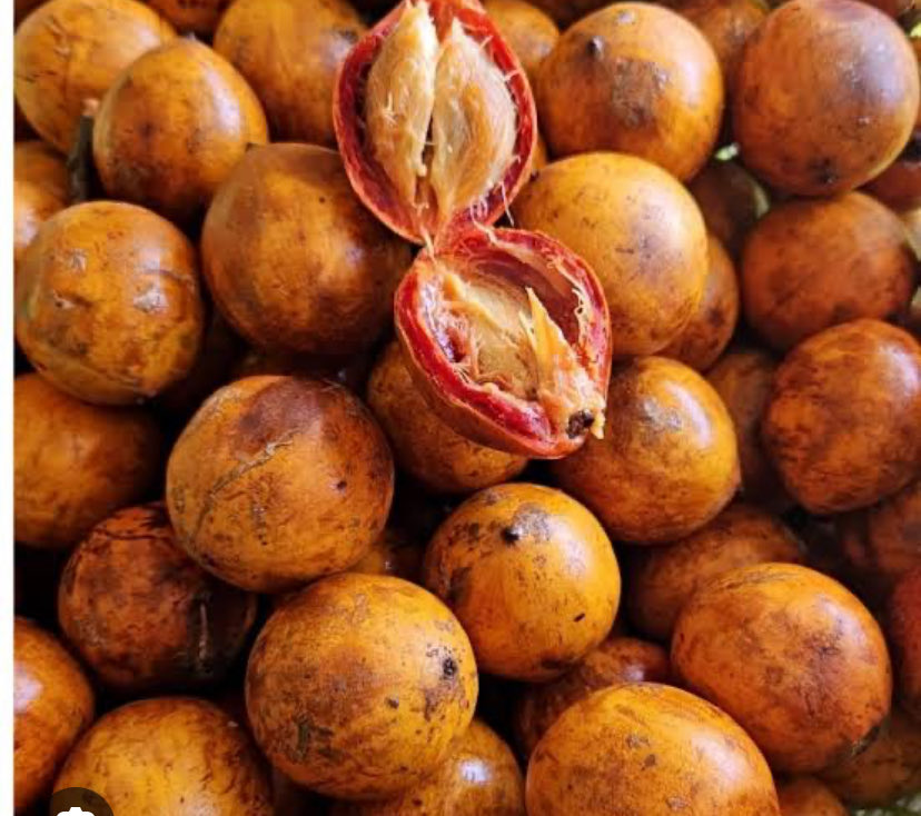 Another day to remind my Igbo people that this is Ụdara.
Call it by it's Igbo name.
Thanks 🙏👍🙏