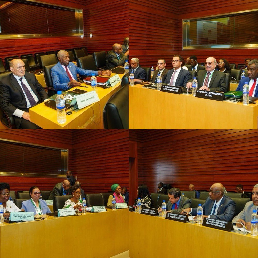 African Union Political Affairs Peace and Security tweet media