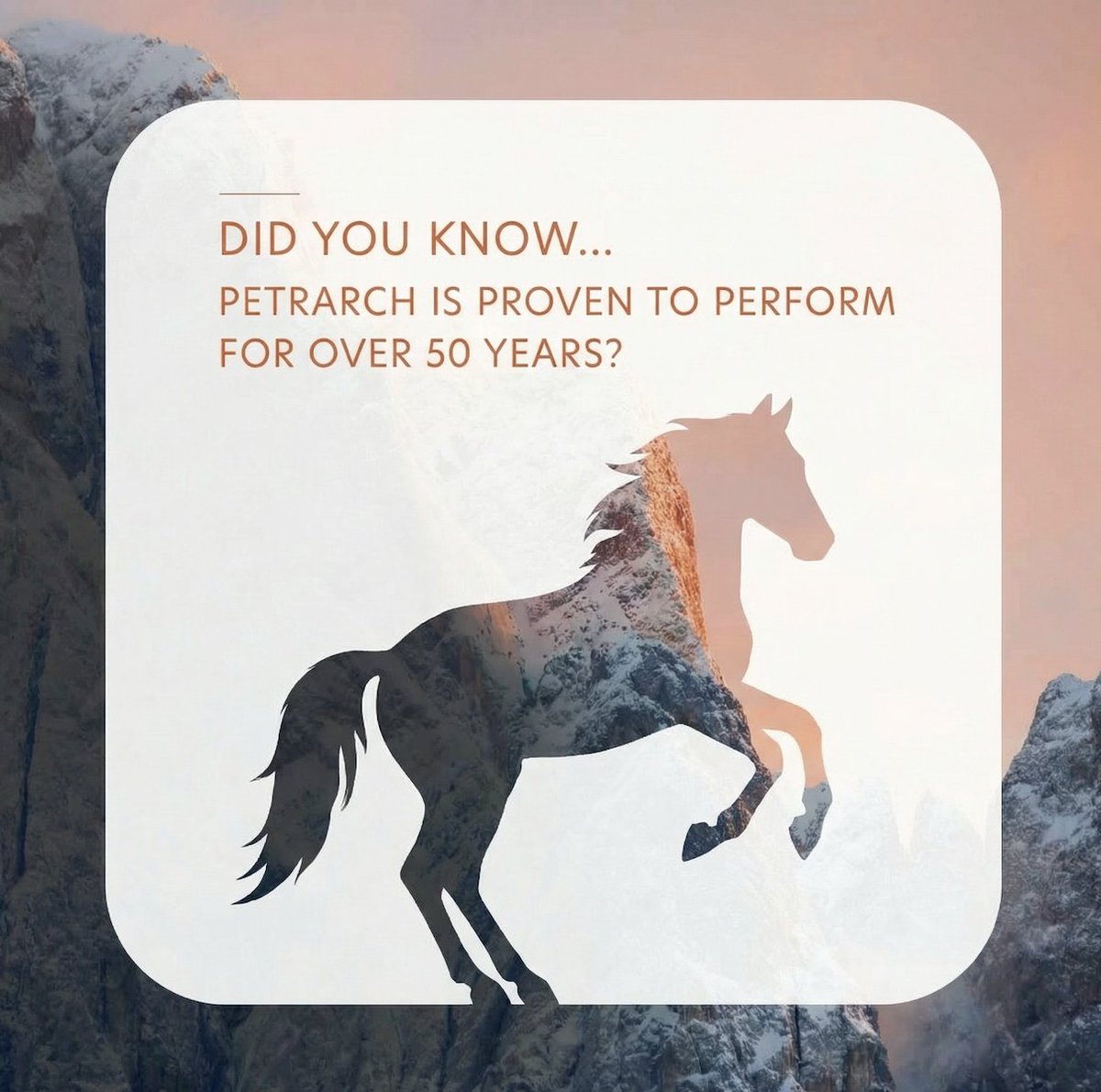 Petrarch Ltd tweet media