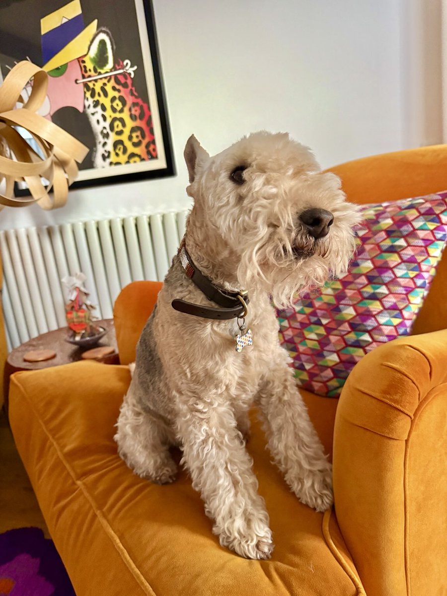 Bertie Lakeland tweet media