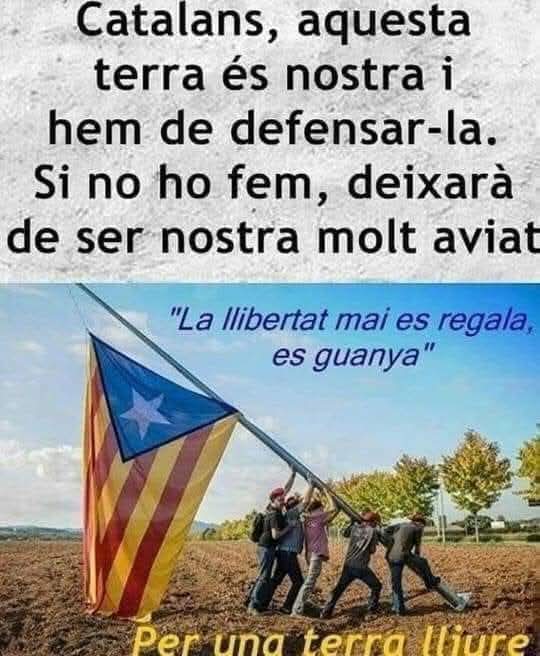 KATALANSERAI (@ciriagerman) on Twitter photo 