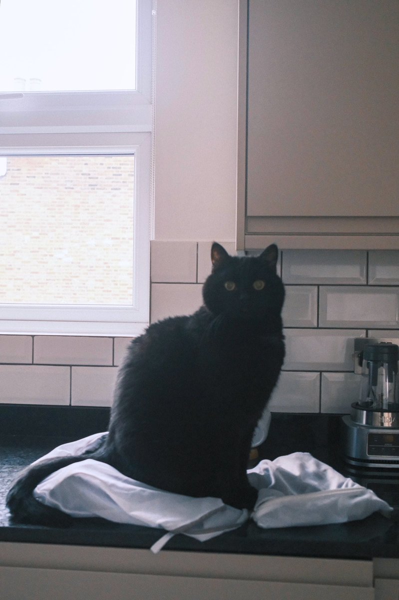 掃除機、嫌い！そんな時でも何もないところでなく□○の上の座るのね