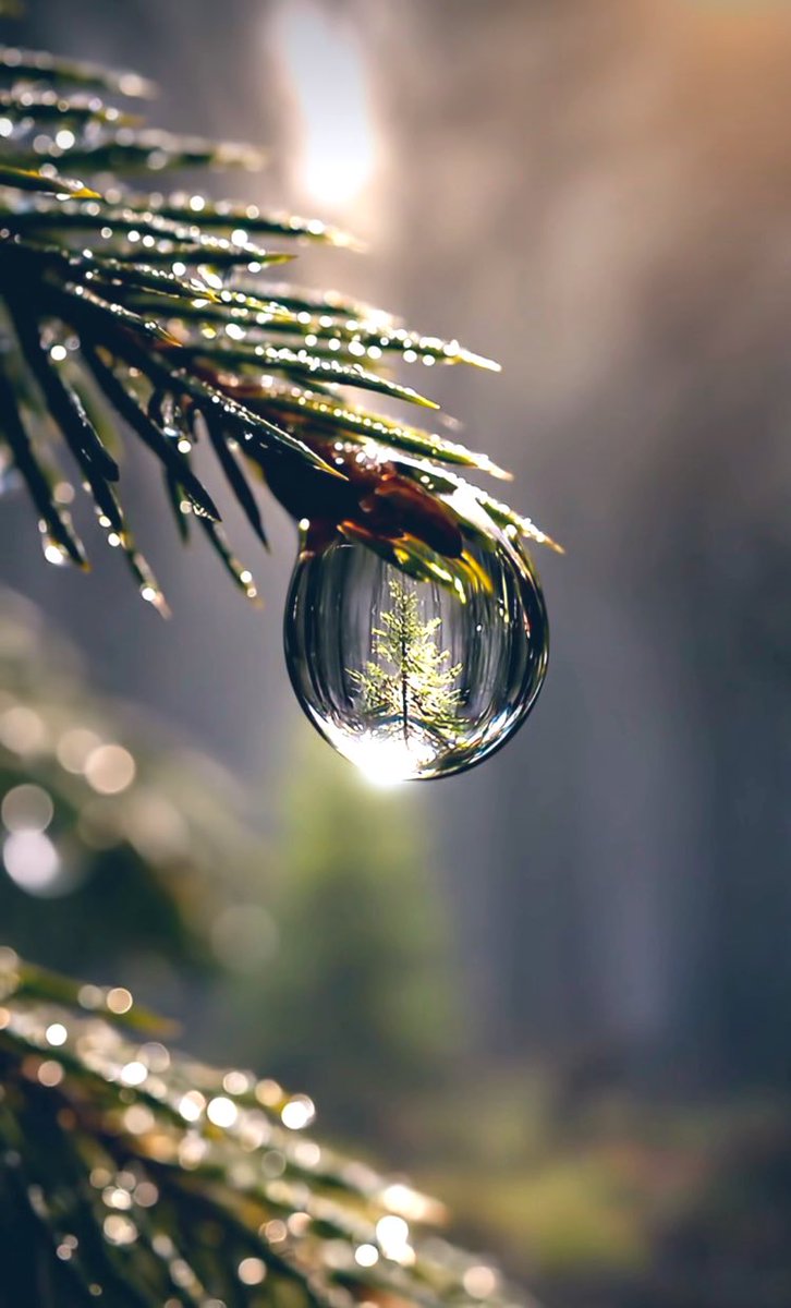 🦋 Nilgün 🦋 tweet media