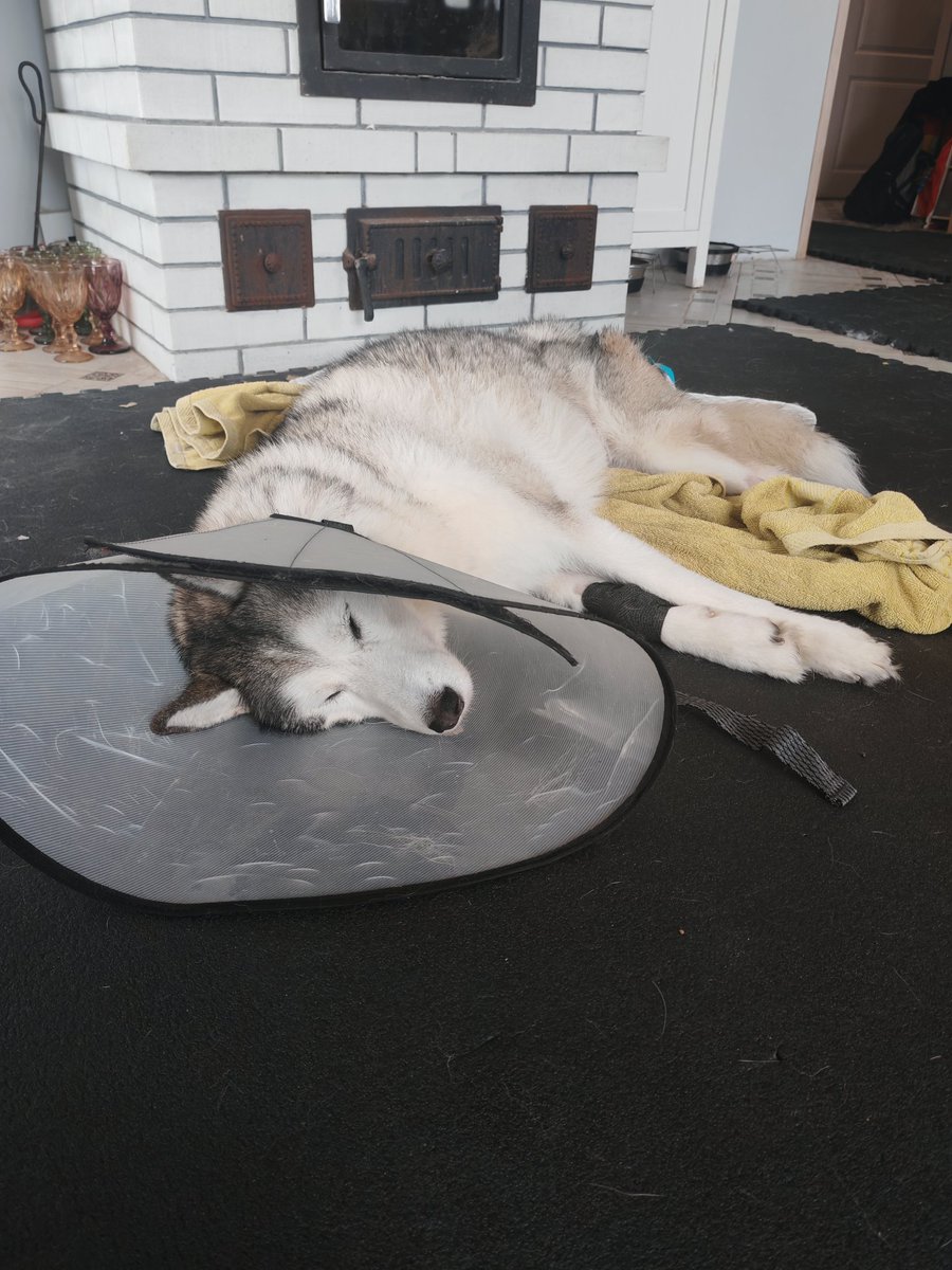 Верилий tweet media