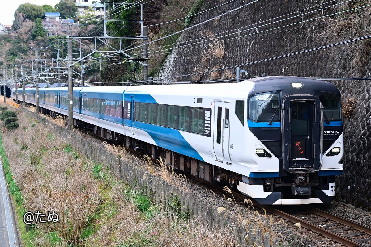 ①E257系特急『踊り子』 ②伊豆急行リゾート21『黒船電車』 ③伊豆急行