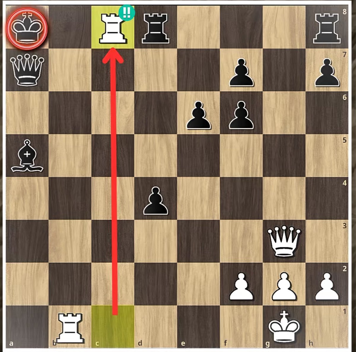 Chess Master tweet media