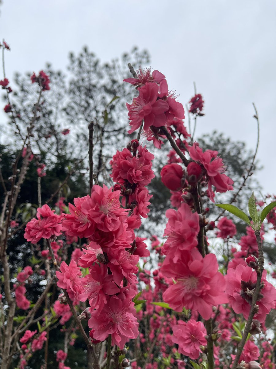 See.U喜柚（摸鱼版） tweet media