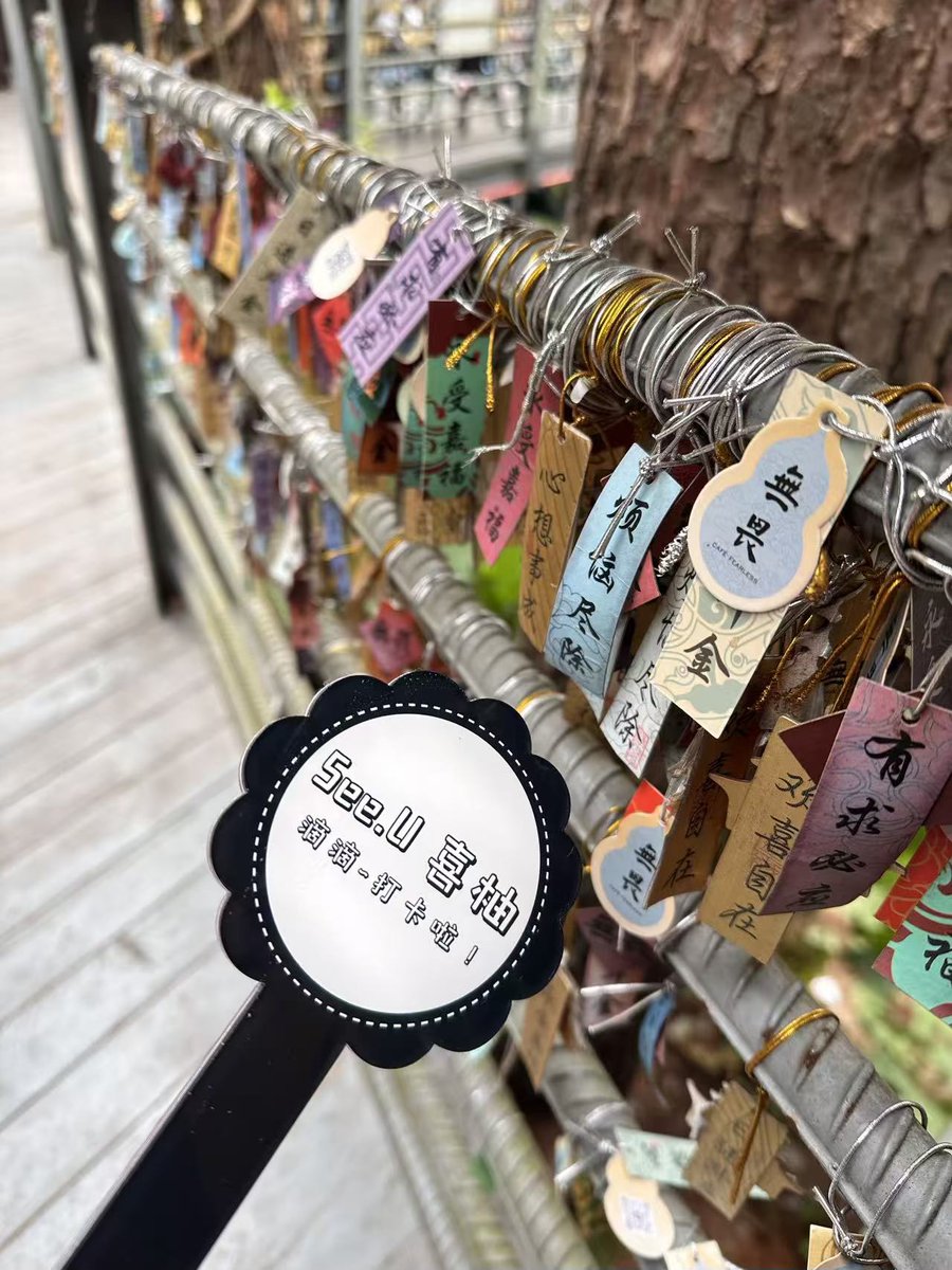 See.U喜柚（摸鱼版） tweet media