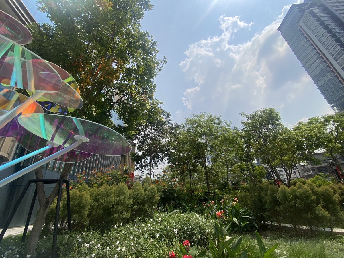 Callum OT (on bluesky) tweet media