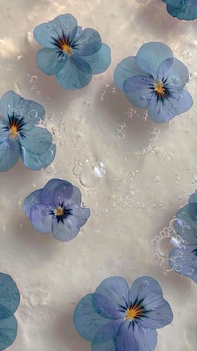 World Click (@worldclick56) on Twitter photo 