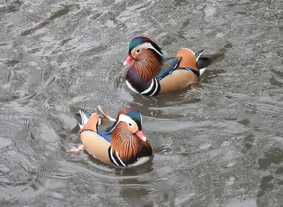 Good Morning 😊 Getting spoilt by blue skies and Sunshine on this #TwosDay morning. Hope everyone enjoys their day 😊