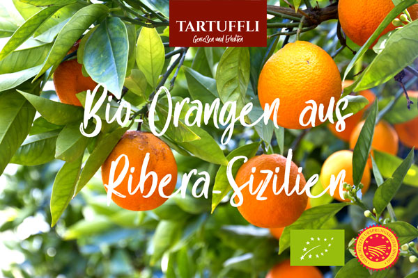Tartufflis's tweet photo. 🍊🍊🍊gerade frisch eingetroffen - noch 40 Kisten frei - - https://t.co/U2wsh0gv9a https://t.co/rYi9dSCae1
