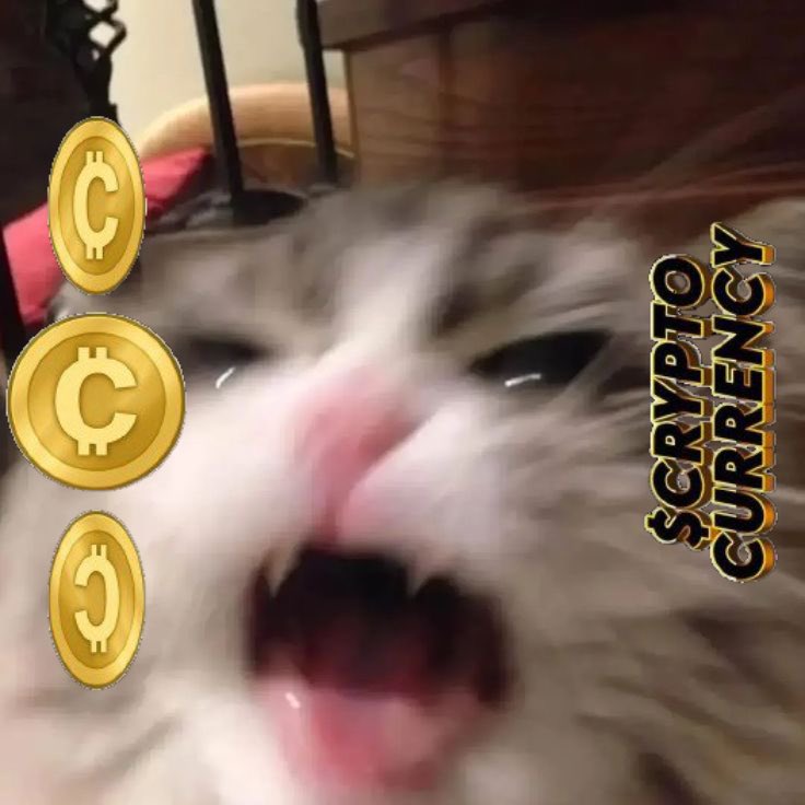 Frothless tweet media