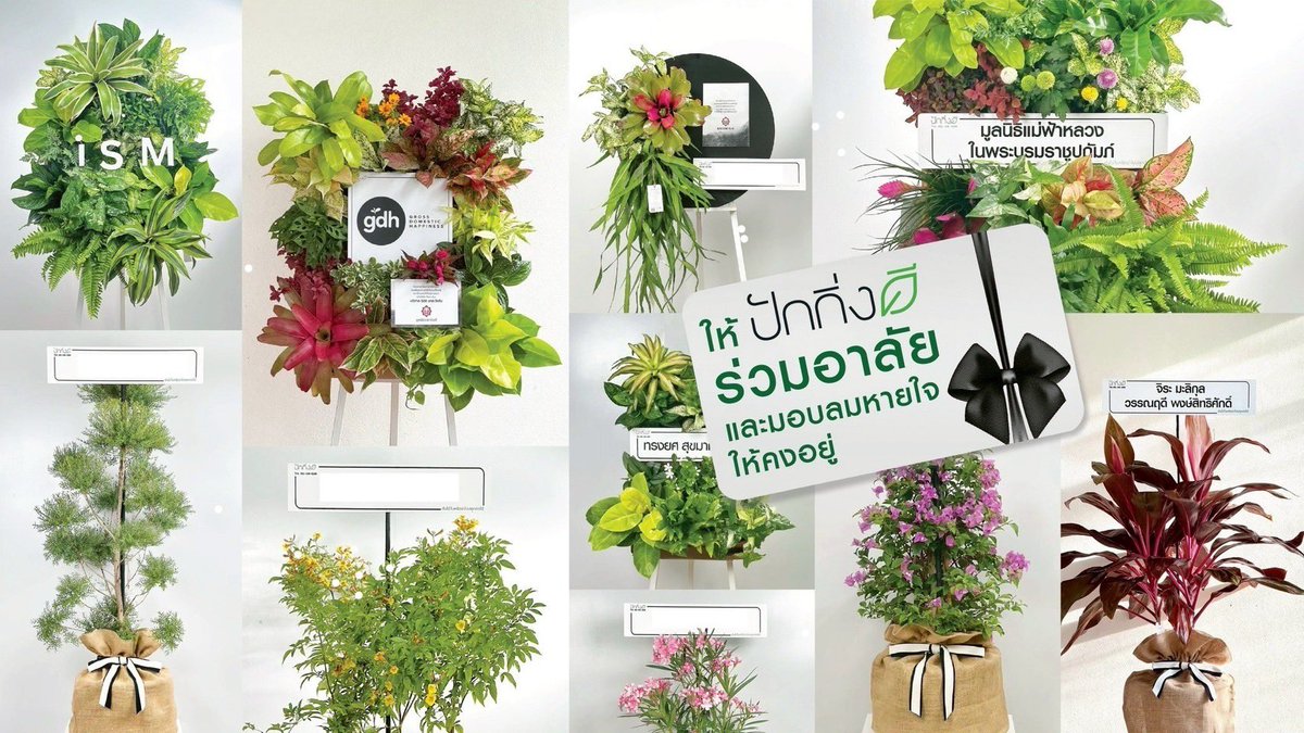 คนโฆษณาและภาพยนตร์ รวมตัวเปิดแบรนด์แห่งชีวิต
“ปักกิ่งดี” ที่จะเป็นทางเลือกใหม่ในทุกโอกาส
 
ปักกิ่งดี PRODUCT &amp; SERVICE ที่เกิดจากการรวมตัวของคนสายโฆษณาและภาพยนตร์ ที่แตกยอดมาจากความรักของกลุ่มคนทำงานสายโฆษณาและภาพยนตร์จำนวนหนึ่ง ที่มีต่อต้นไม้ โดย “ปักกิ่งดี” เป็นชื่อที่