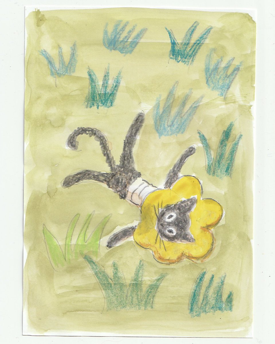 くろが草原に出てしまった場面。 家で寝てないといけないのに、 の