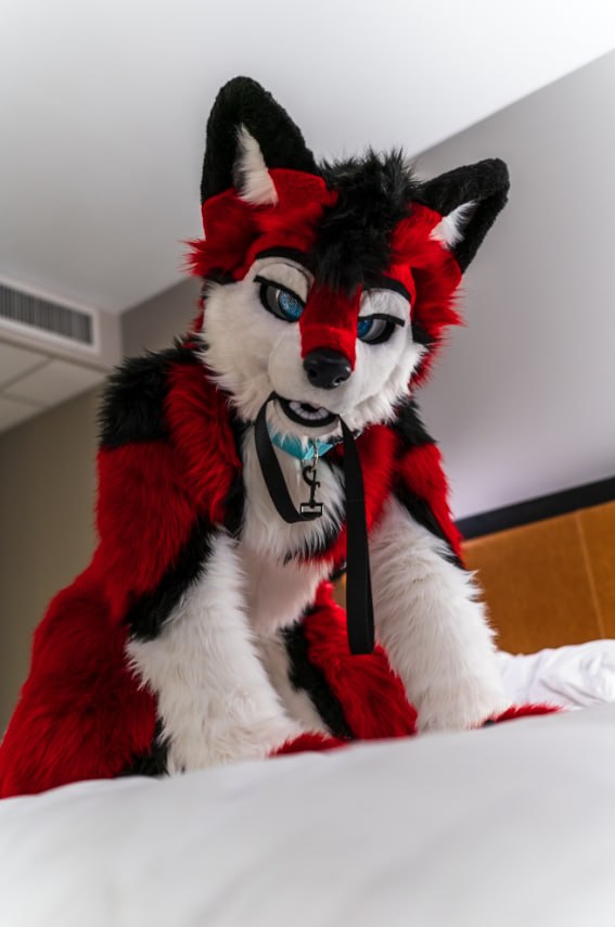 Deso 🔜 LVFC tweet media