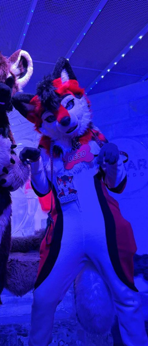 Deso 🔜 LVFC tweet media