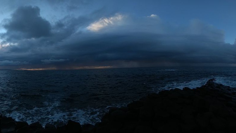 Johan Rockström tweet media