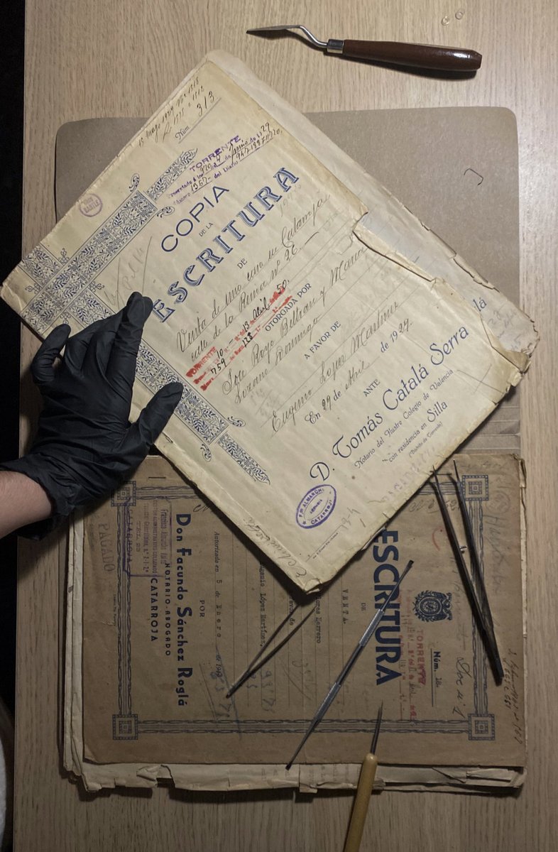 violeta salmerón ✧ tweet media