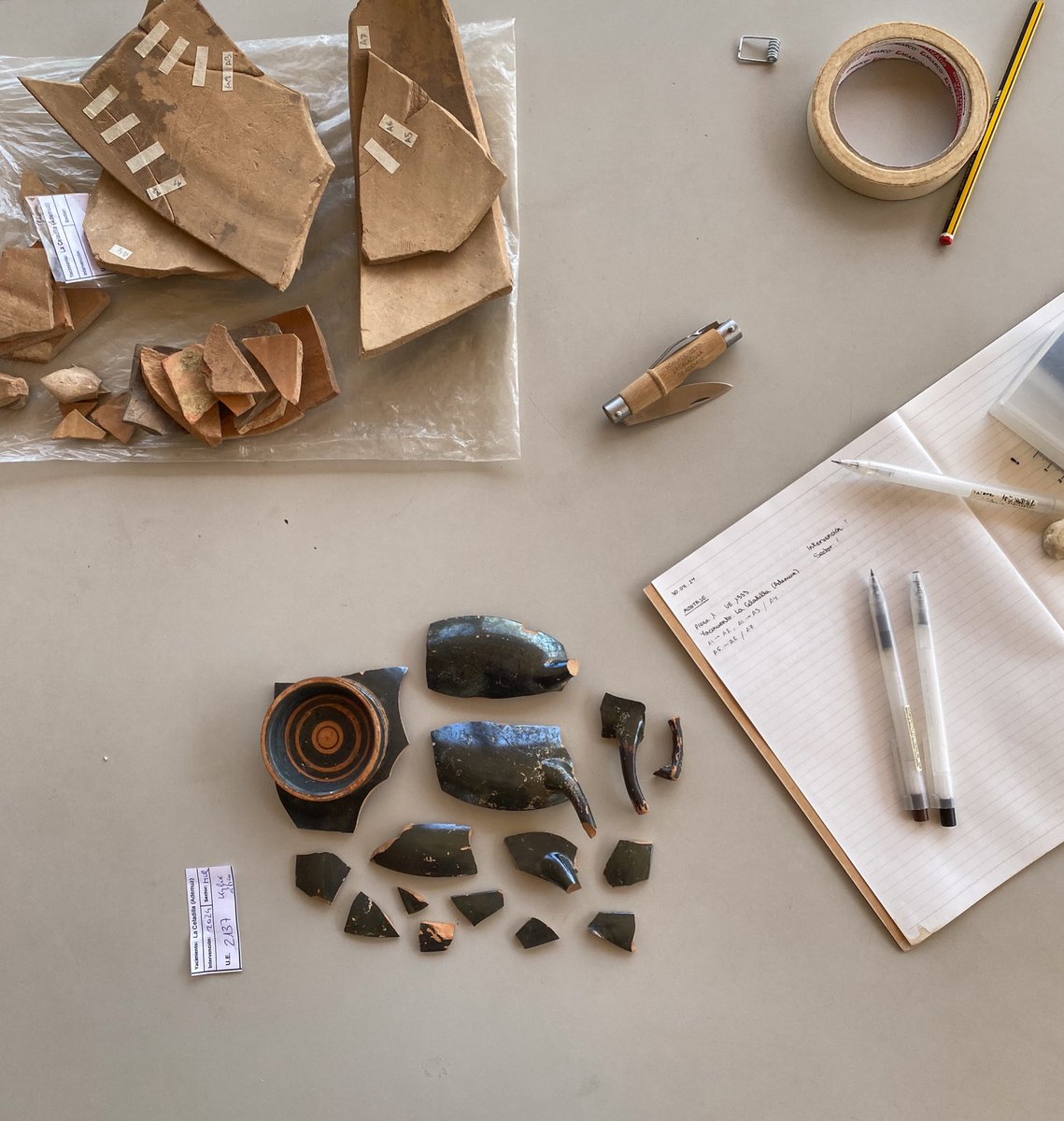 violeta salmerón ✧ tweet media