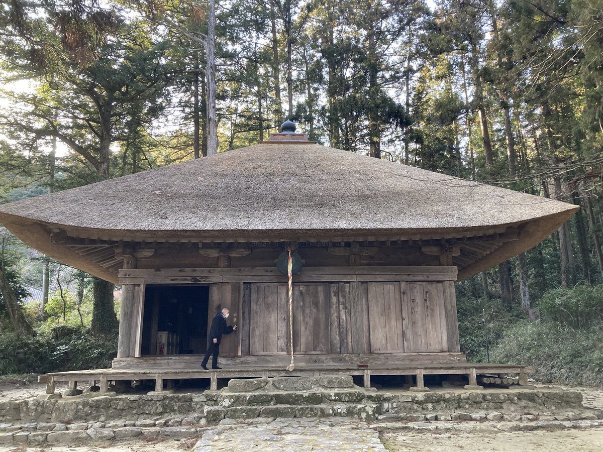 来夢来人(緑の燐光) tweet media