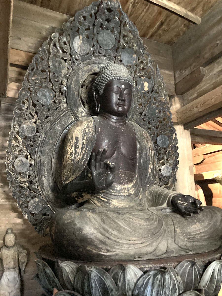 来夢来人(緑の燐光) tweet media