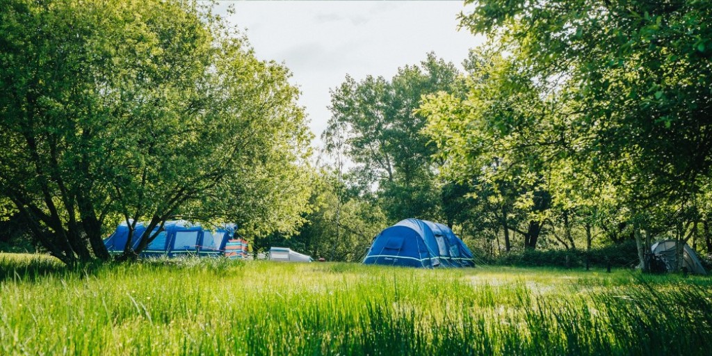 Forestry Commission tweet media