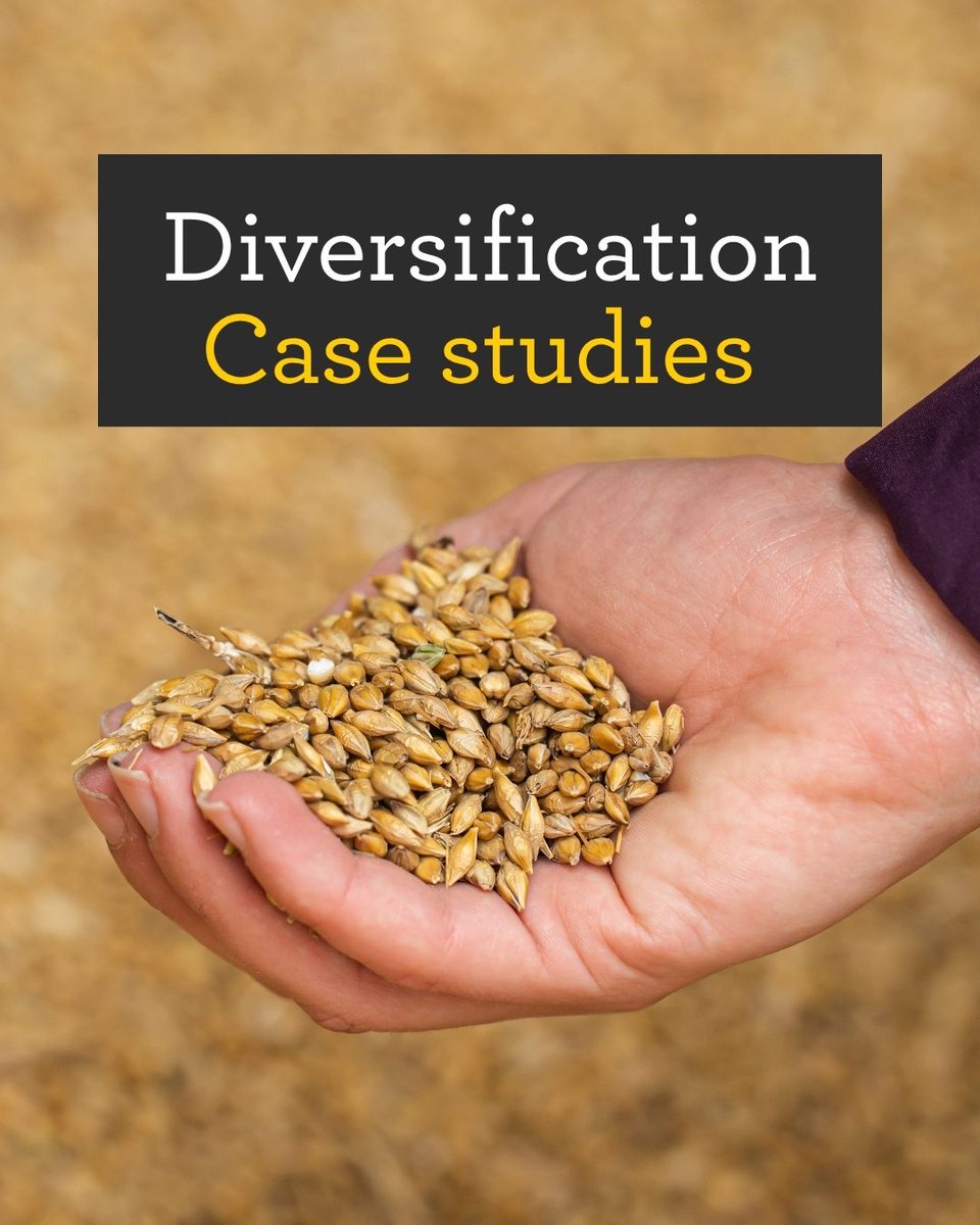 Are you looking for real-life inspiration from other farmers on how they have diversified their businesses?​

Our diversification hub has a wide range of examples, explore their stories here 👉​

orlo.uk/5o7S4