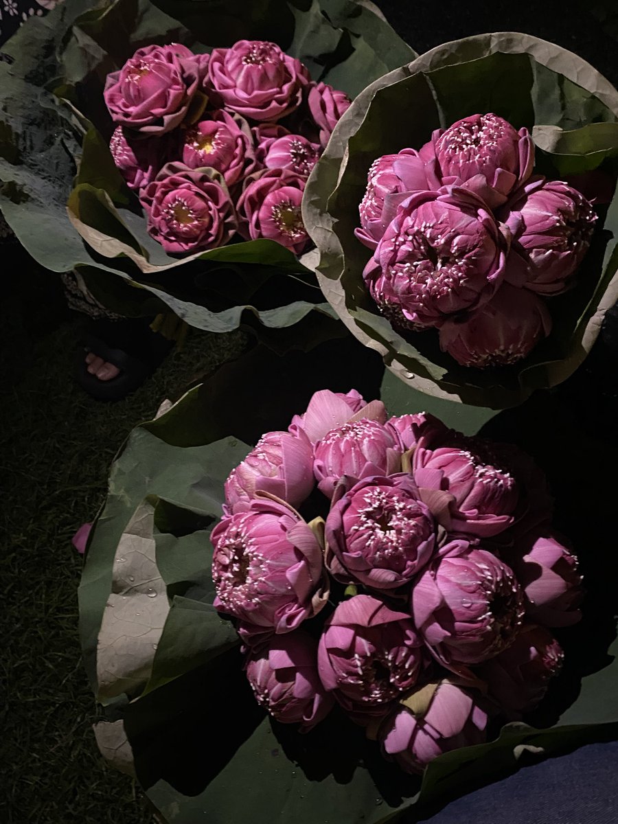 ที่สุดเลยเว้ยแก