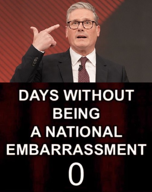 Sandfort tweet media