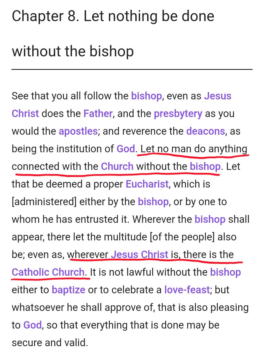 CatholicAmericanMan tweet media